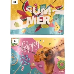 Papeleria | Útiles Y Kits Escolares< Carpeta Fuelle Escolar Cartón Fama X UND