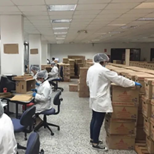 Suministros E Insumos De Oficina | Ganchos Legajadora Y Cosedora< Gancho Legajador Expediente Plástico por 20 Und.
