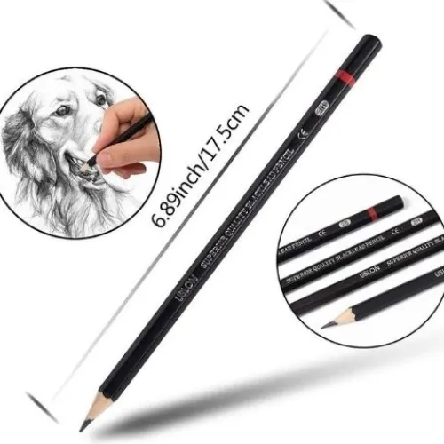 Materiales Y Productos De Arte | Productos Y Materiales Para Caligrafía< Juego De Lápices De Dibujo X12 En Todos Las Gamas