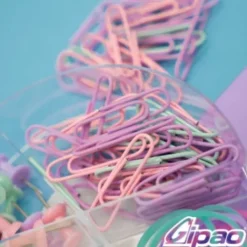 Suministros E Insumos De Oficina< Kit Clips, chinches y ganchito lotero