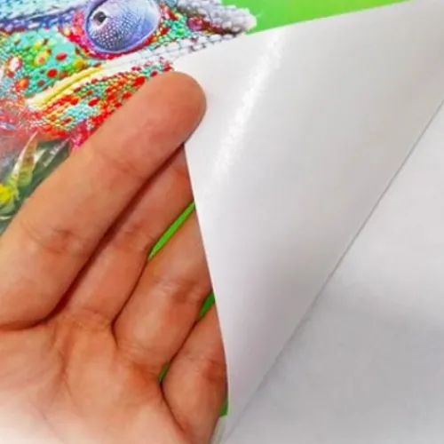 Papeleria | Productos Para Impresión< papel adhesivo Bond y Propalcote
