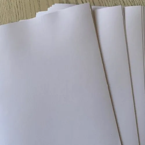 Papeleria | Productos Para Impresión< papel adhesivo Bond y Propalcote